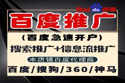 百度推广公司案例分享：如何通过百度推广实现持续增长